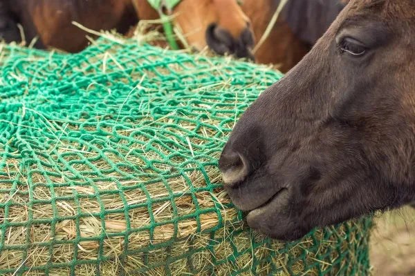 Piece of Hay Siatka na bele siana 140 cm oczko 40 mm grubość 4 mm - Cavalo